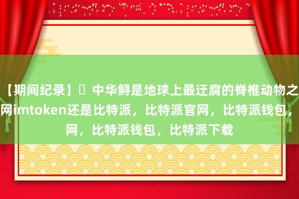 【期间纪录】 中华鲟是地球上最迂腐的脊椎动物之一比特派官网imtoken还是比特派，比特派官网，比特派钱包，比特派下载