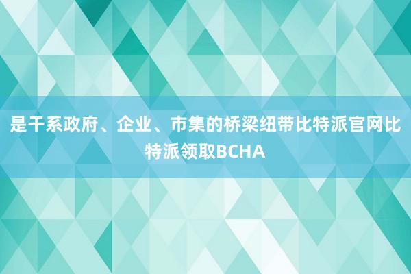 是干系政府、企业、市集的桥梁纽带比特派官网比特派领取BCHA