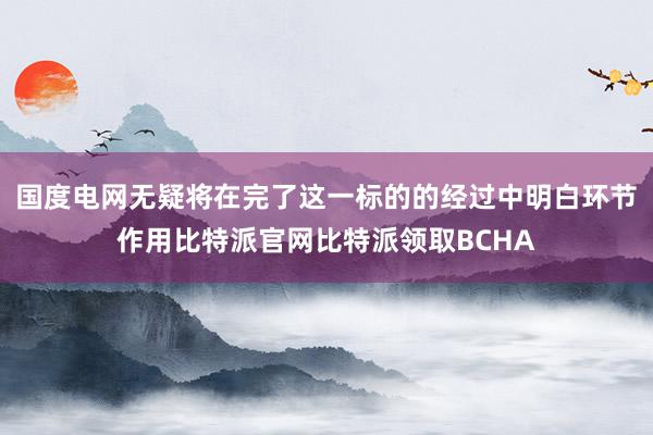 国度电网无疑将在完了这一标的的经过中明白环节作用比特派官网比特派领取BCHA