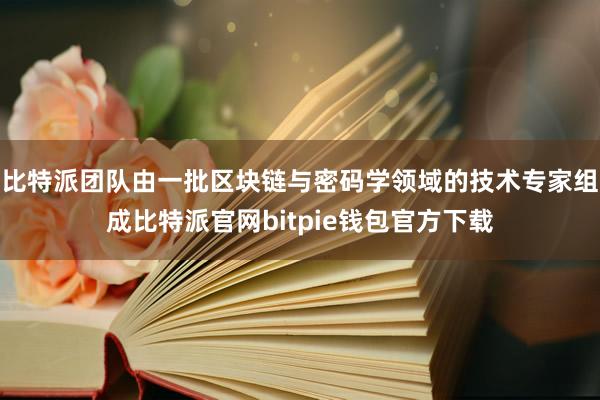 比特派团队由一批区块链与密码学领域的技术专家组成比特派官网bitpie钱包官方下载