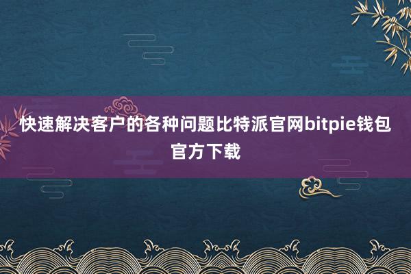 快速解决客户的各种问题比特派官网bitpie钱包官方下载