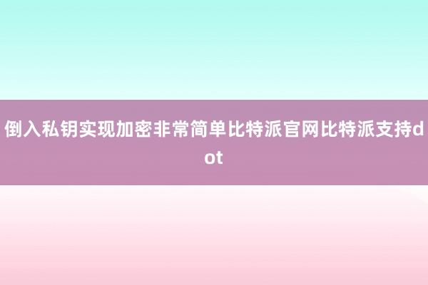 倒入私钥实现加密非常简单比特派官网比特派支持dot