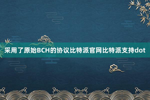 采用了原始BCH的协议比特派官网比特派支持dot