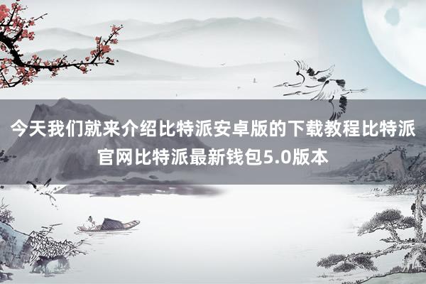 今天我们就来介绍比特派安卓版的下载教程比特派官网比特派最新钱包5.0版本