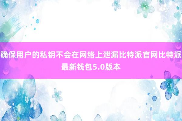 确保用户的私钥不会在网络上泄漏比特派官网比特派最新钱包5.0版本