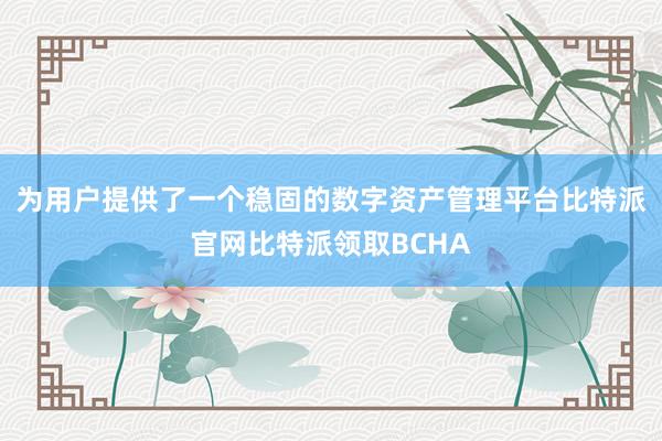 为用户提供了一个稳固的数字资产管理平台比特派官网比特派领取BCHA