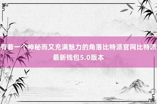 有着一个神秘而又充满魅力的角落比特派官网比特派最新钱包5.0版本