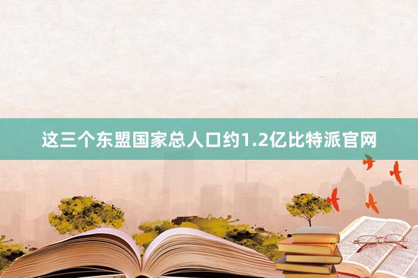 这三个东盟国家总人口约1.2亿比特派官网