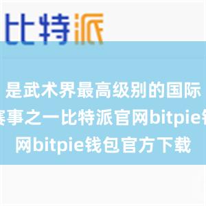 是武术界最高级别的国际咏春拳赛事之一比特派官网bitpie钱包官方下载