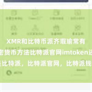 XMR和比特币派齐瑕瑜常有出路的加密货币方法比特派官网imtoken还是比特派，比特派官网，比特派钱包，比特派下载